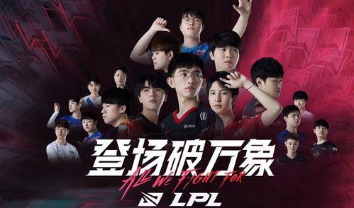 白衣教练最新爆料,最新爆料背后的真相与内幕