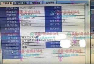 青岛烟草爆料视频大全,揭露行业内幕与真相