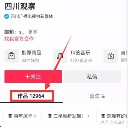 如何找到爆料视频的人,如何追踪并找到热门视频幕后真相 第2张 如何找到爆料视频的人,如何追踪并找到热门视频幕后真相 第2张