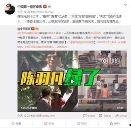 王子琪最新爆料视频大全,揭秘幕后真相与精彩瞬间