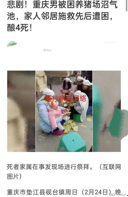 彭州网友爆料事件最新,揭秘事件背后惊人真相！  第2张